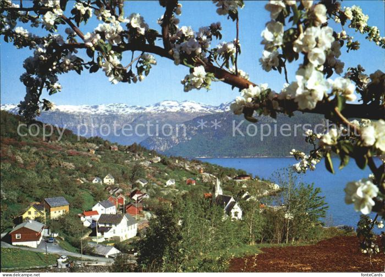 72458225 Hardanger Utne Panorama Hardanger - Norway