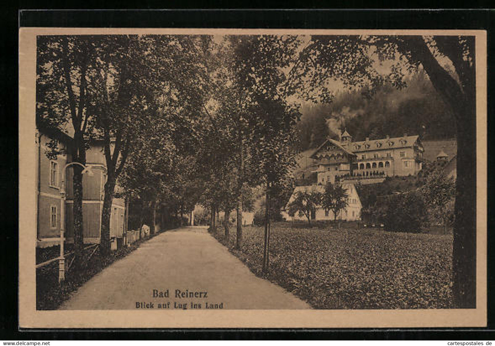 AK Bad Reinerz, Blick Auf Lug Ins Land  - Schlesien