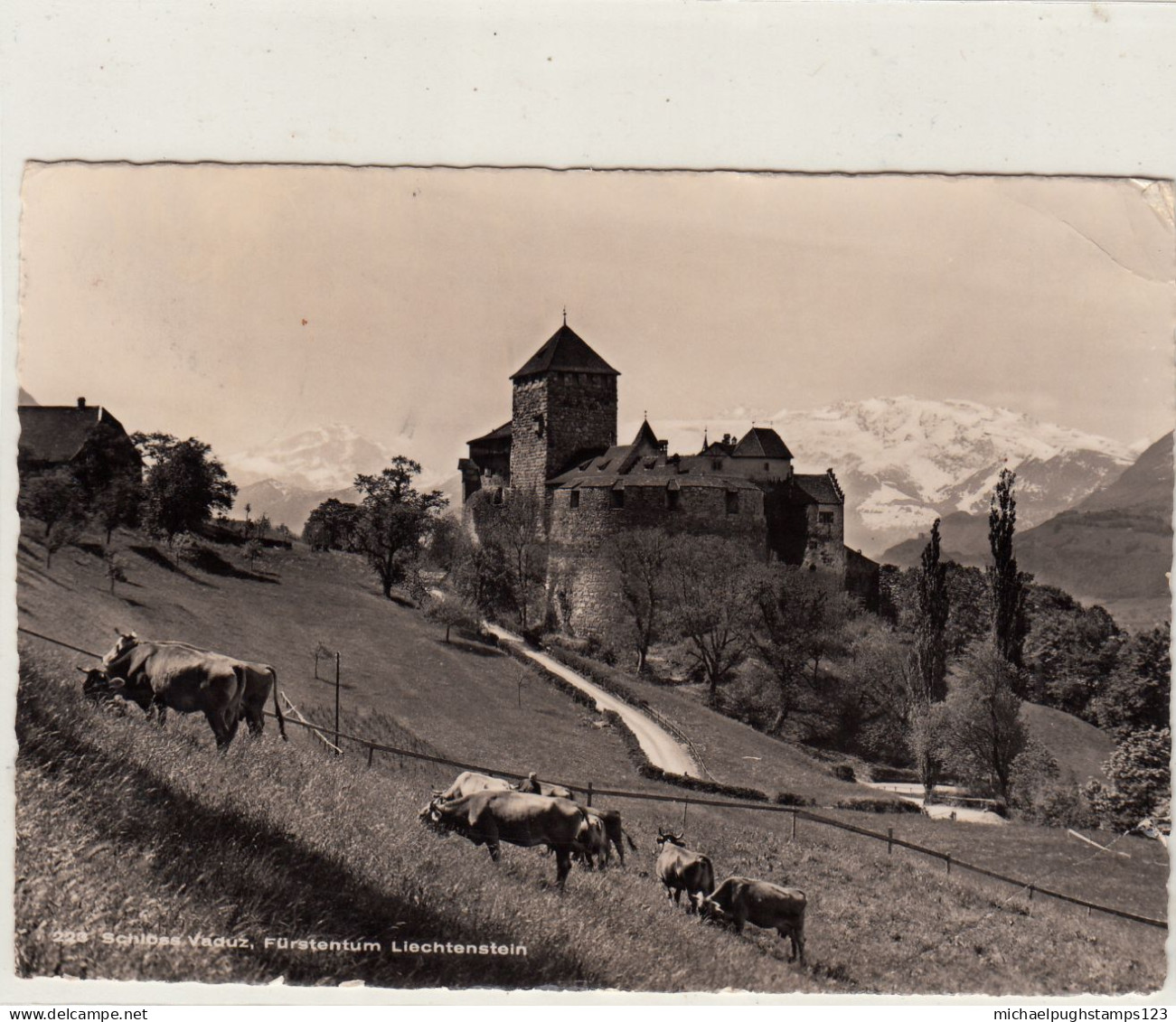 Liechtenstein / Postcards / France - Andere & Zonder Classificatie