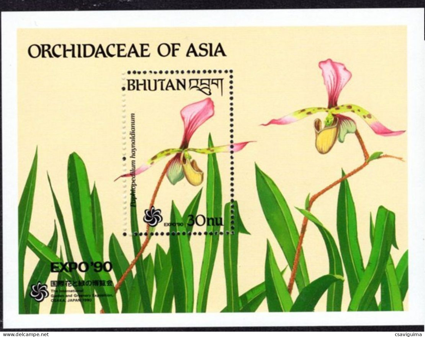 Bhutan (Bhoutan) - 1990 - Flowers: Orchids - Yv Bf 215 - Orchidee
