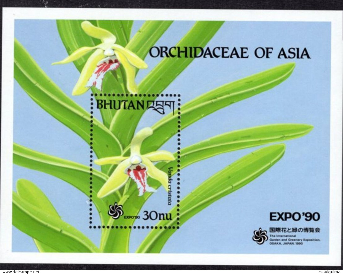 Bhutan (Bhoutan) - 1990 - Flowers: Orchids - Yv Bf 208 - Orchidées