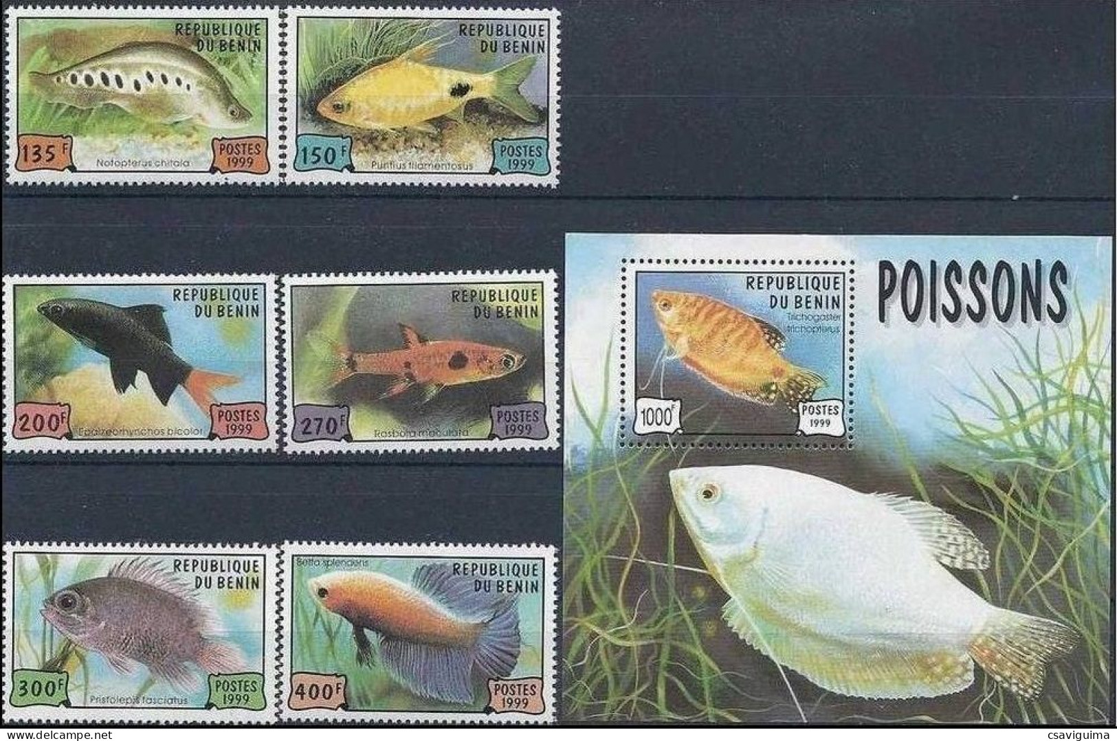 Benin - 1999 - Fish - Yv 902/07 + Bf 55 - Fishes