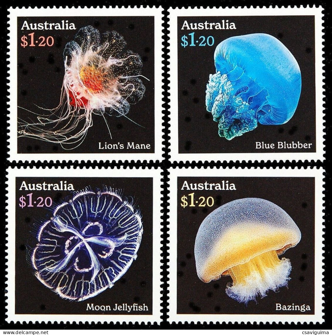 Australia - 2023 - Marine Life: Jellyfish - Yv Xxx/xx - Meereswelt