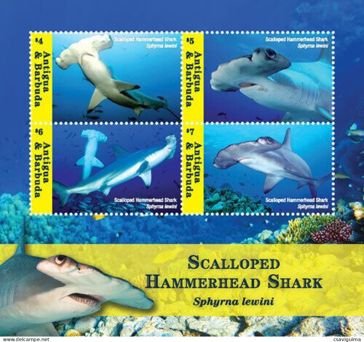 Antigua & Barbuda - 2018 - Scalloped Hammerhead Shark - Yv 4765/68 - Peces