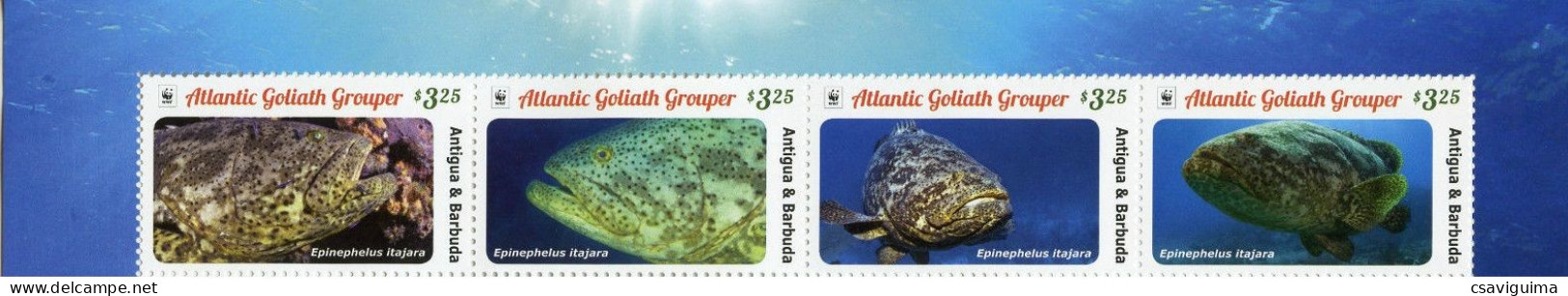 Antigua & Barbuda - 2016 - Atlantic Grouper - Yv 4568/71 - Poissons