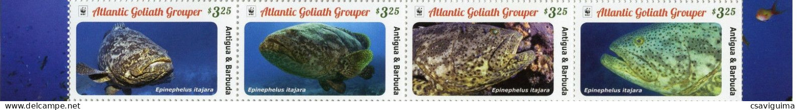 Antigua & Barbuda - 2016 - Atlantic Grouper - Yv 4568/71 - Fishes