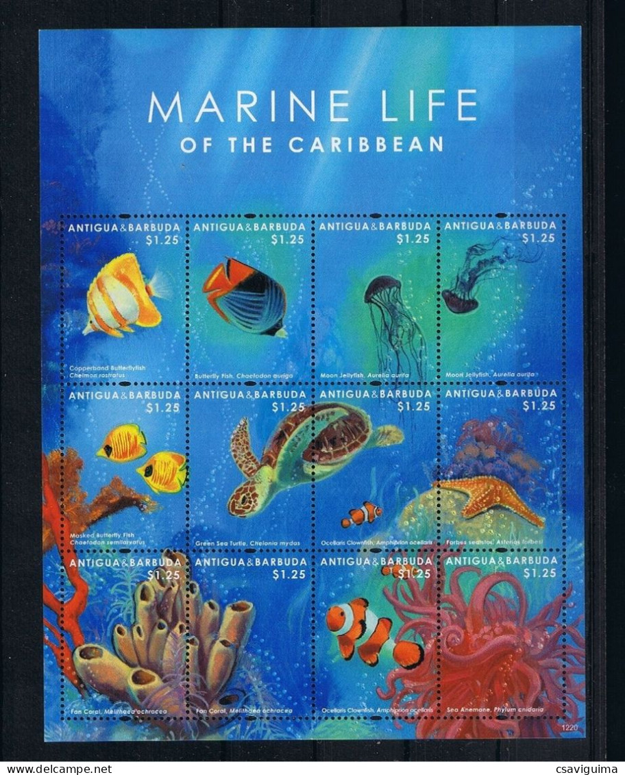 Antigua & Barbuda - 2012 - Marine Life - Yv 4304/15 - Meereswelt