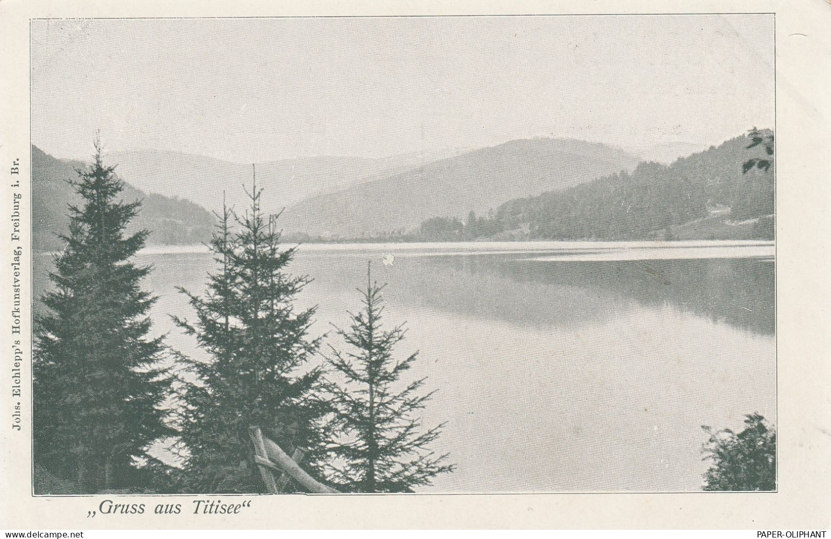 7820 TITISEE-NEUSTADT, Gruß Aus... - Titisee-Neustadt