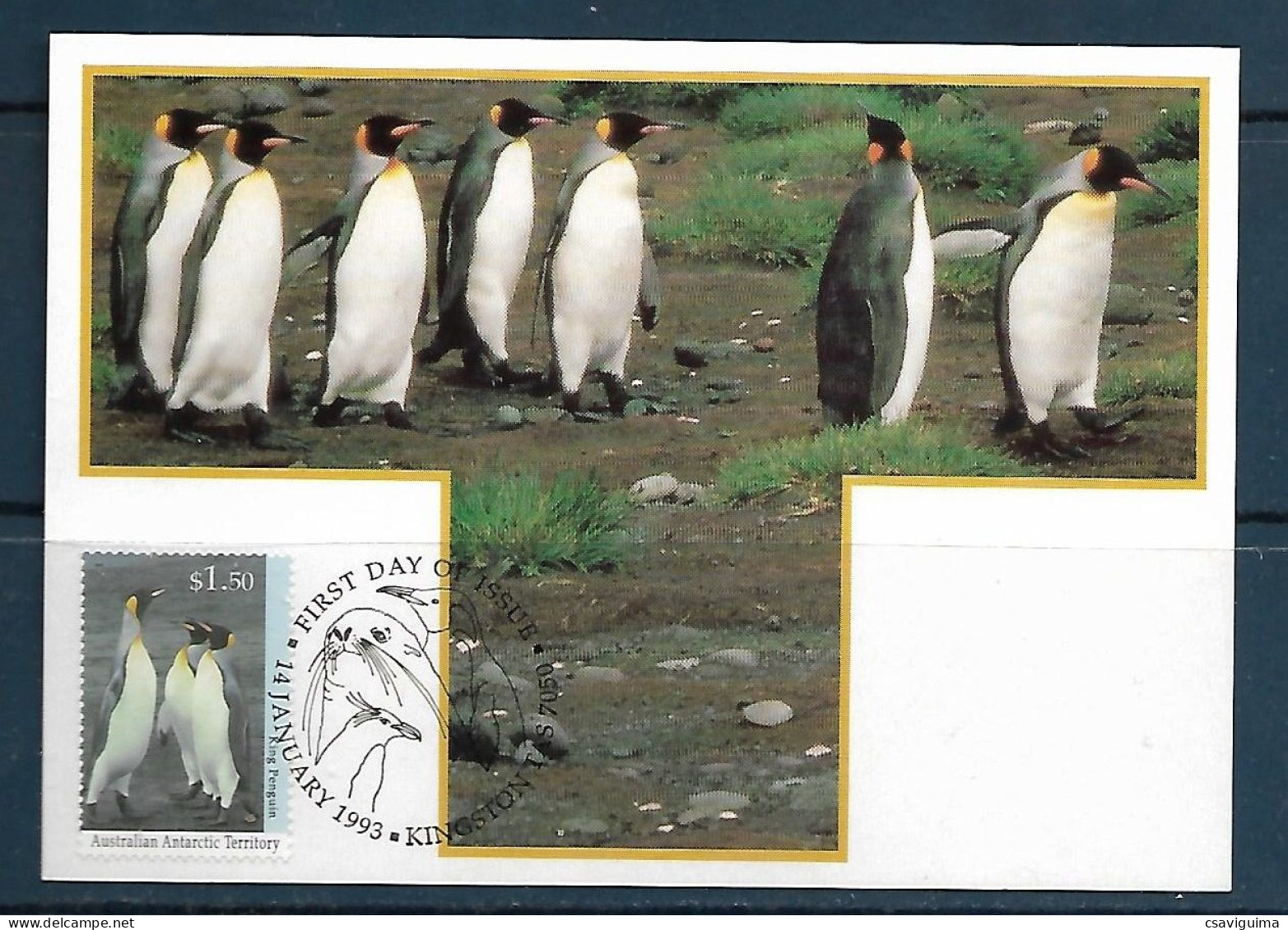 Australian Antarctic Territory - 1993 - Marine Life - Maximum Card - Marine Life