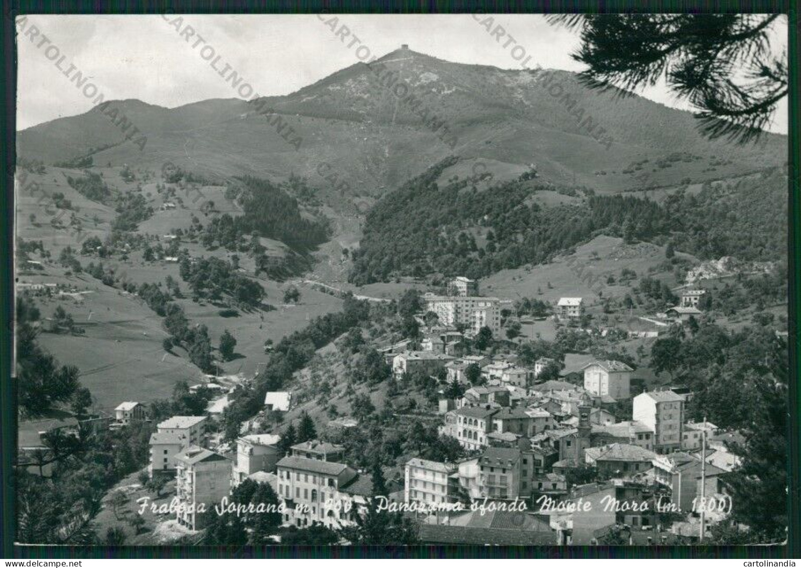 Cuneo Frabosa Soprana Monte Moro Foto FG Cartolina KV8730 - Cuneo