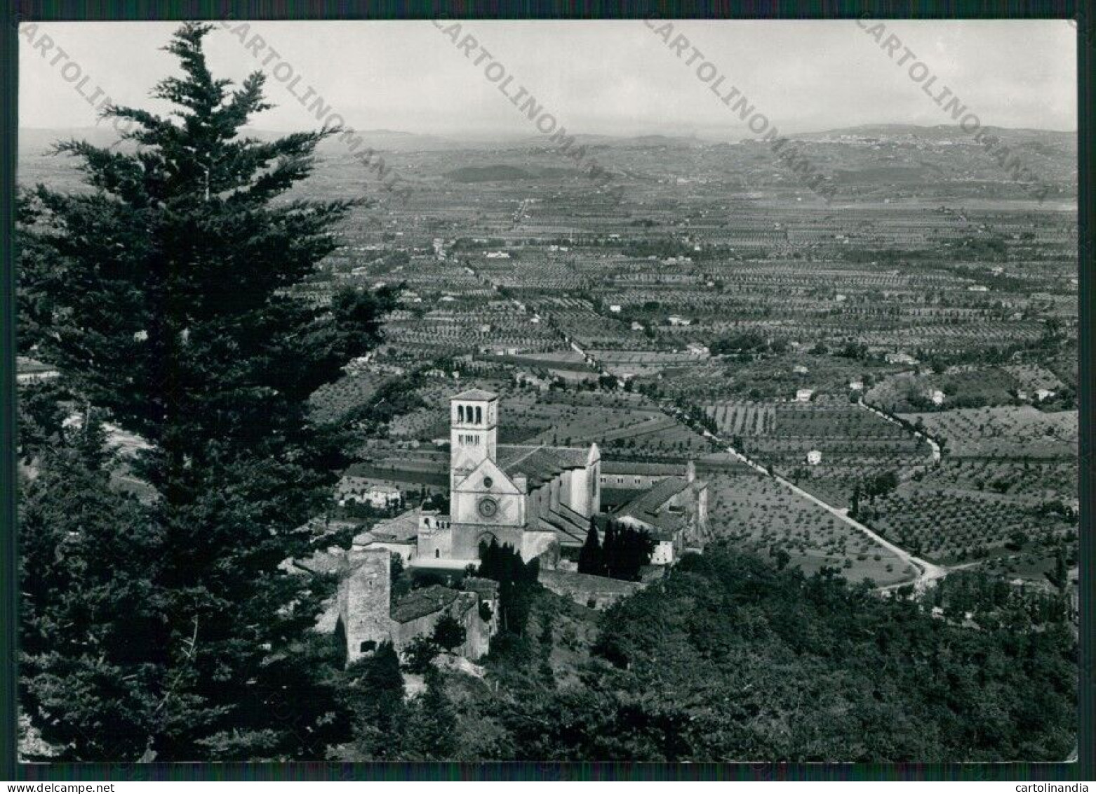 Perugia Assisi Foto FG Cartolina KV9076 - Perugia