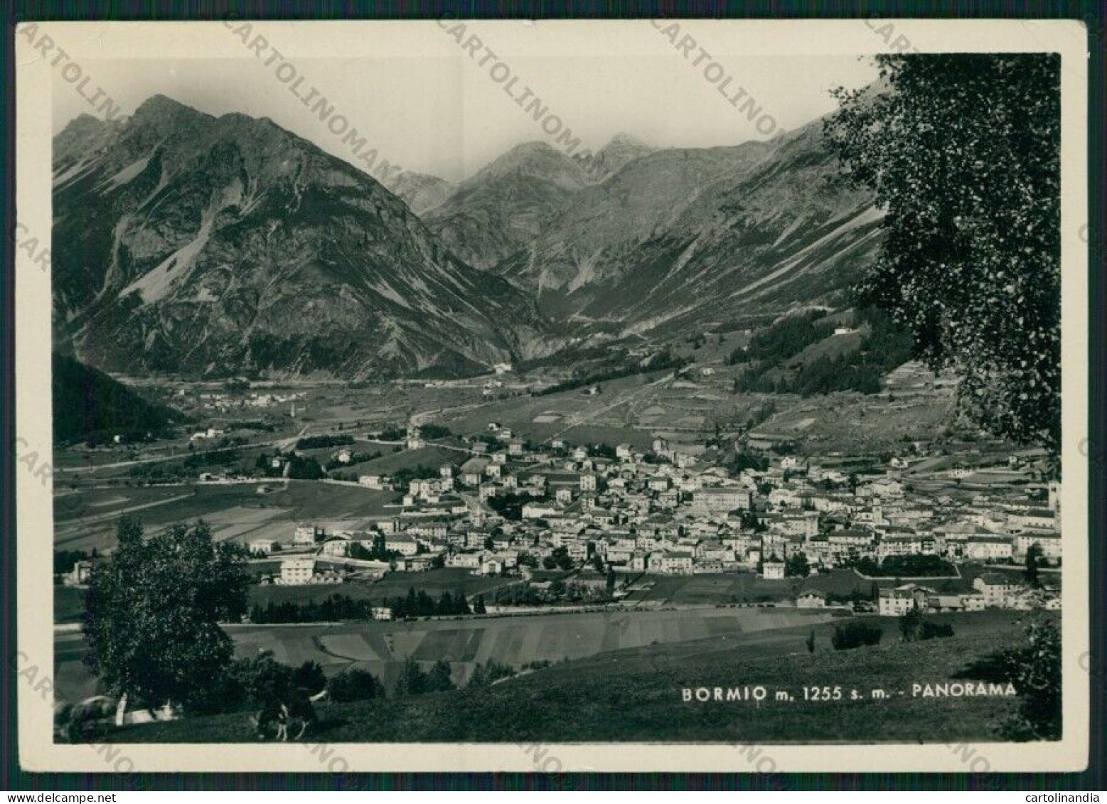 Sondrio Bormio STRAPPINO Foto FG Cartolina KV9102 - Sondrio