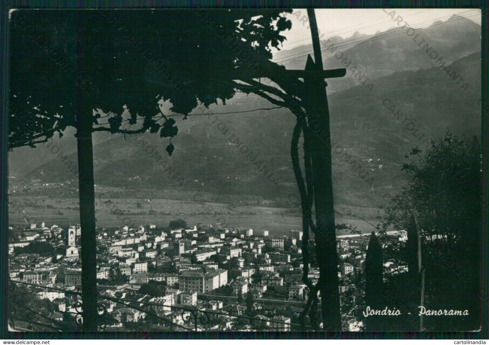 Sondrio Città Foto FG Cartolina KV9098 - Sondrio