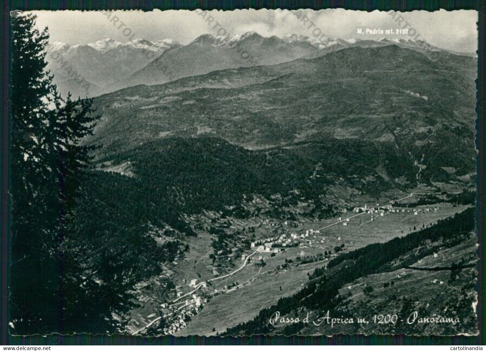 Sondrio Aprica Passo Di Foto FG Cartolina KV9104 - Sondrio