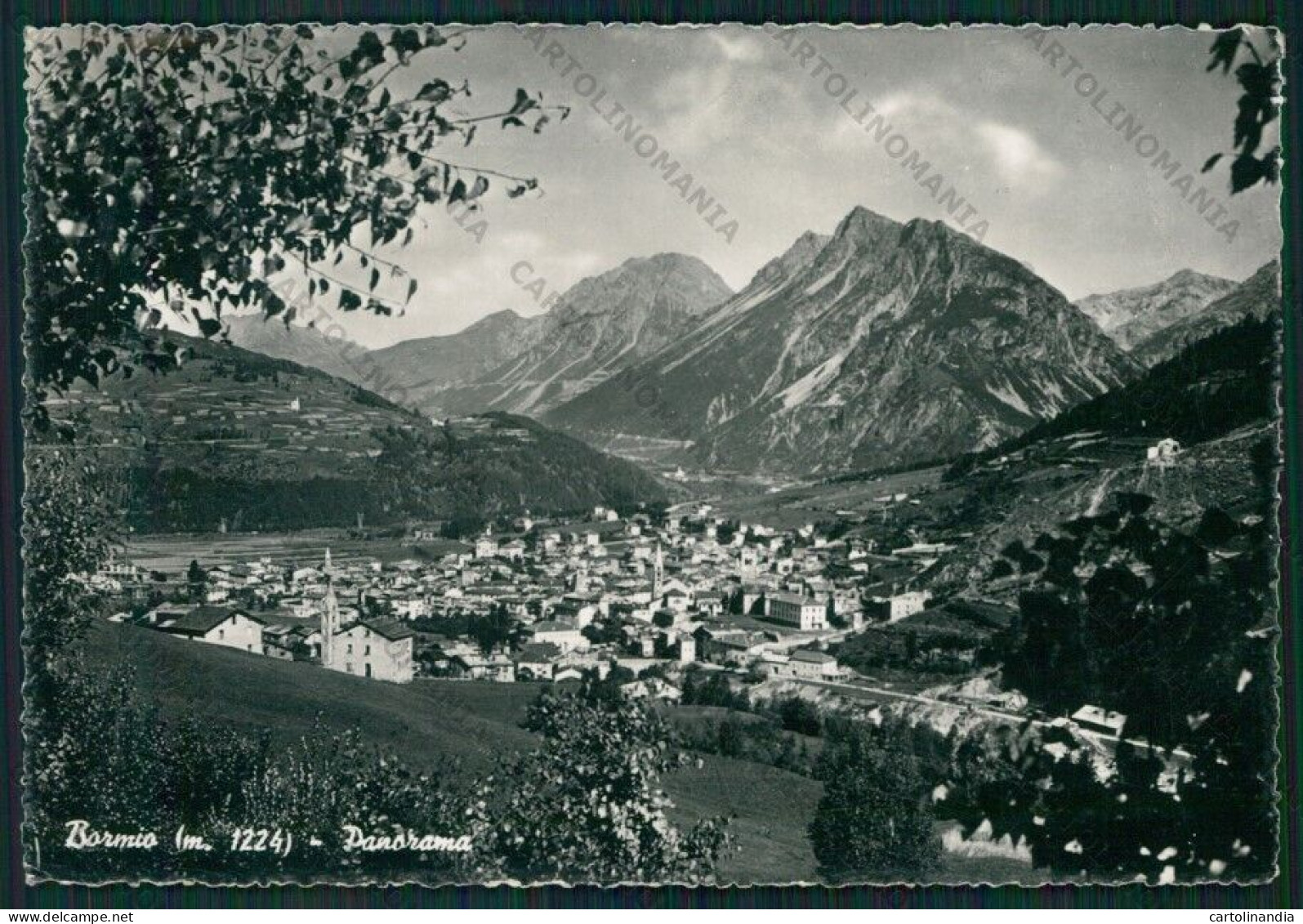 Sondrio Bormio Foto FG Cartolina KV9110 - Sondrio