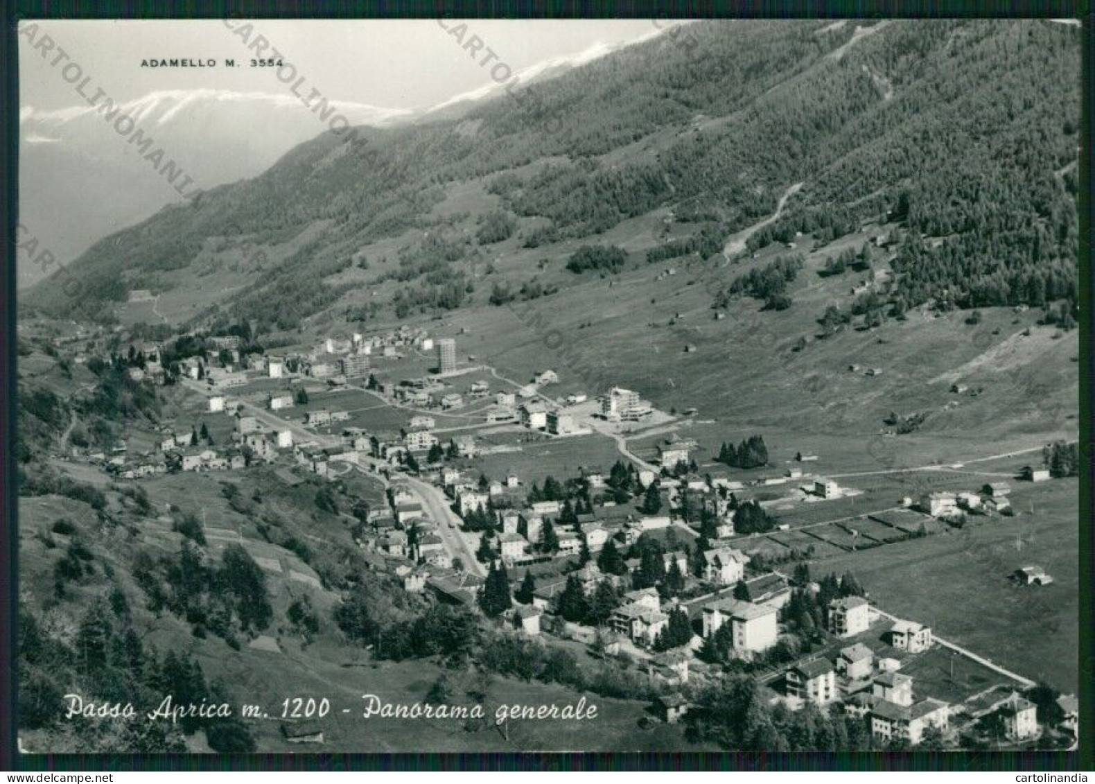 Sondrio Aprica Passo Di Adamello Foto FG Cartolina KV9130 - Sondrio