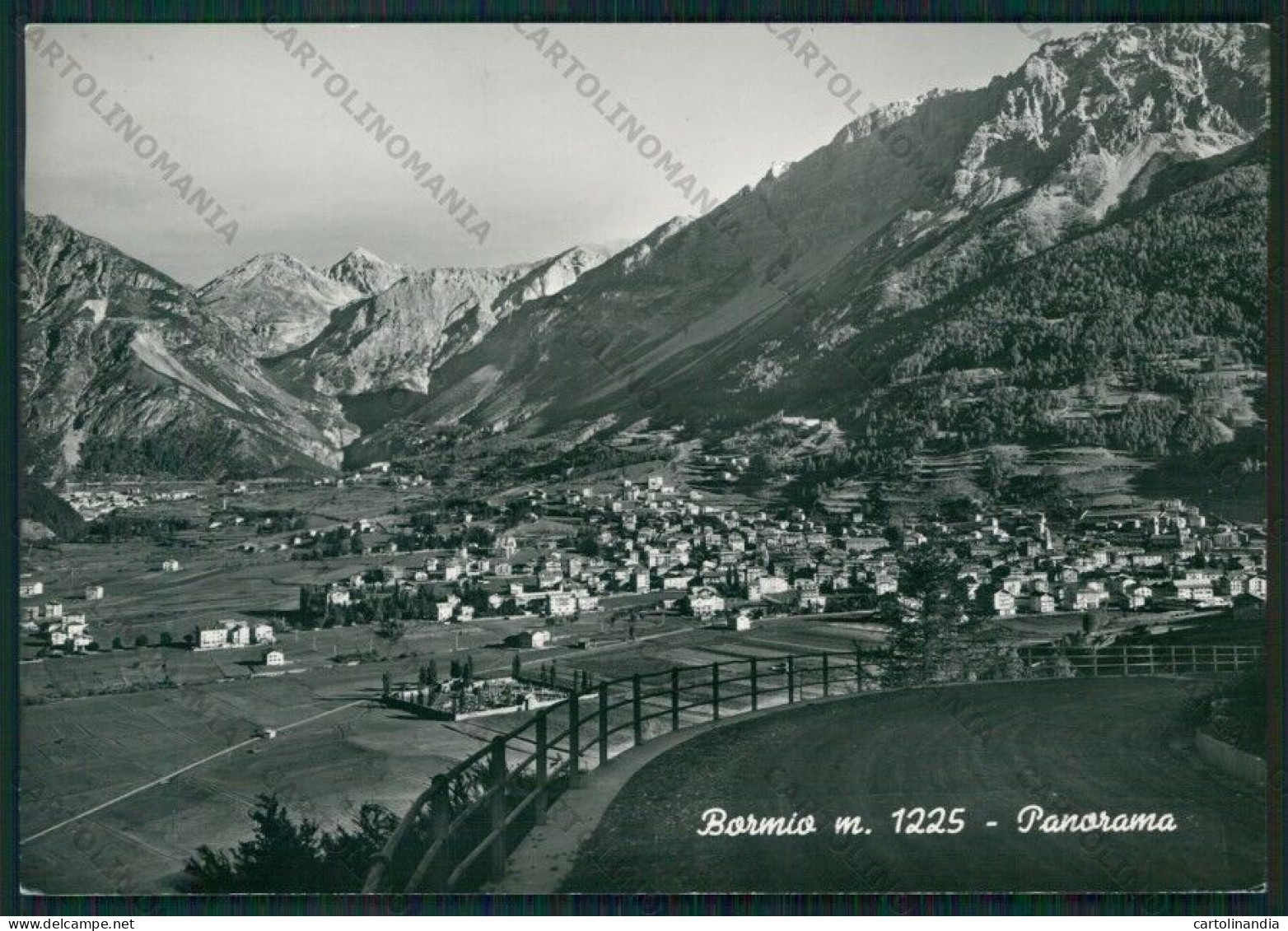 Sondrio Bormio Foto FG Cartolina KV9125 - Sondrio