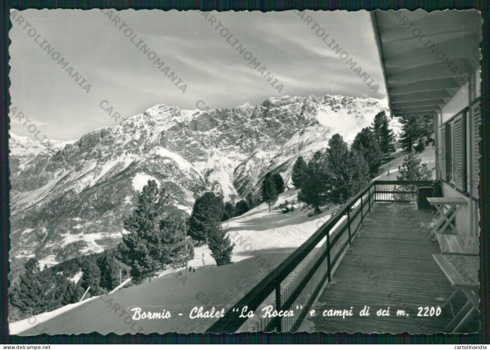 Sondrio Bormio Foto FG Cartolina KV9131 - Sondrio