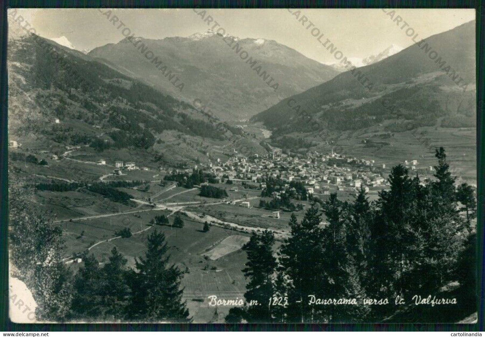 Sondrio Bormio Valfurva ABRASA Foto FG Cartolina KV9137 - Sondrio