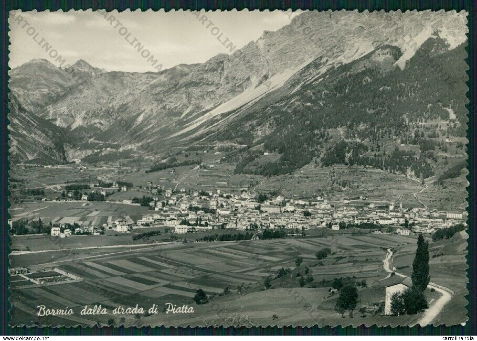 Sondrio Bormio Foto FG Cartolina KV9160 - Sondrio