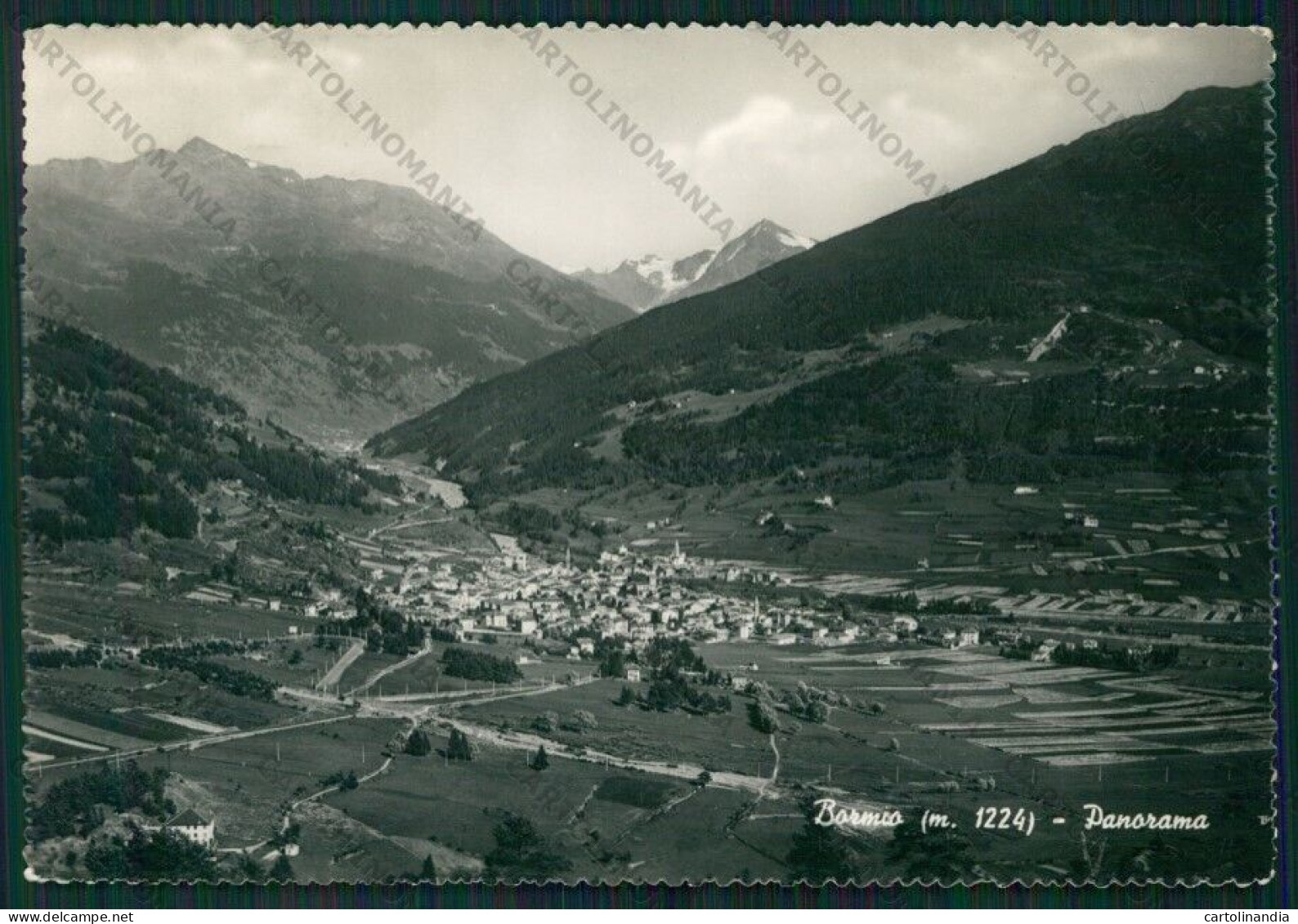 Sondrio Bormio Foto FG Cartolina KV9169 - Sondrio