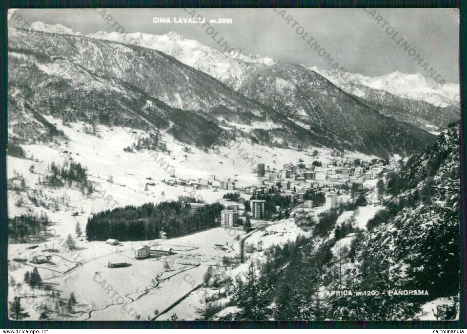 Sondrio Aprica Nevicata Foto FG Cartolina KV9178 - Sondrio