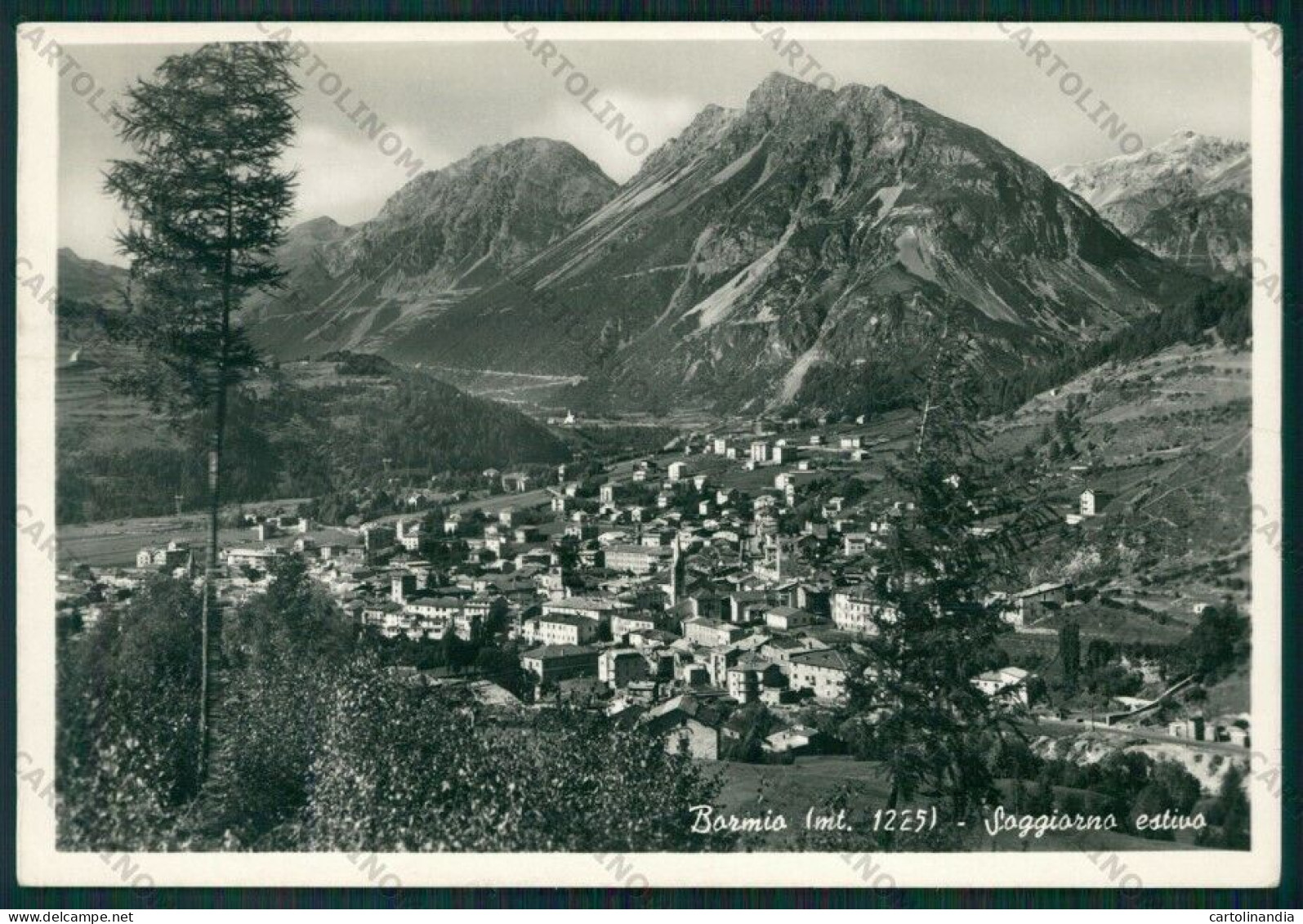 Sondrio Bormio PIEGATA Foto FG Cartolina KV9192 - Sondrio