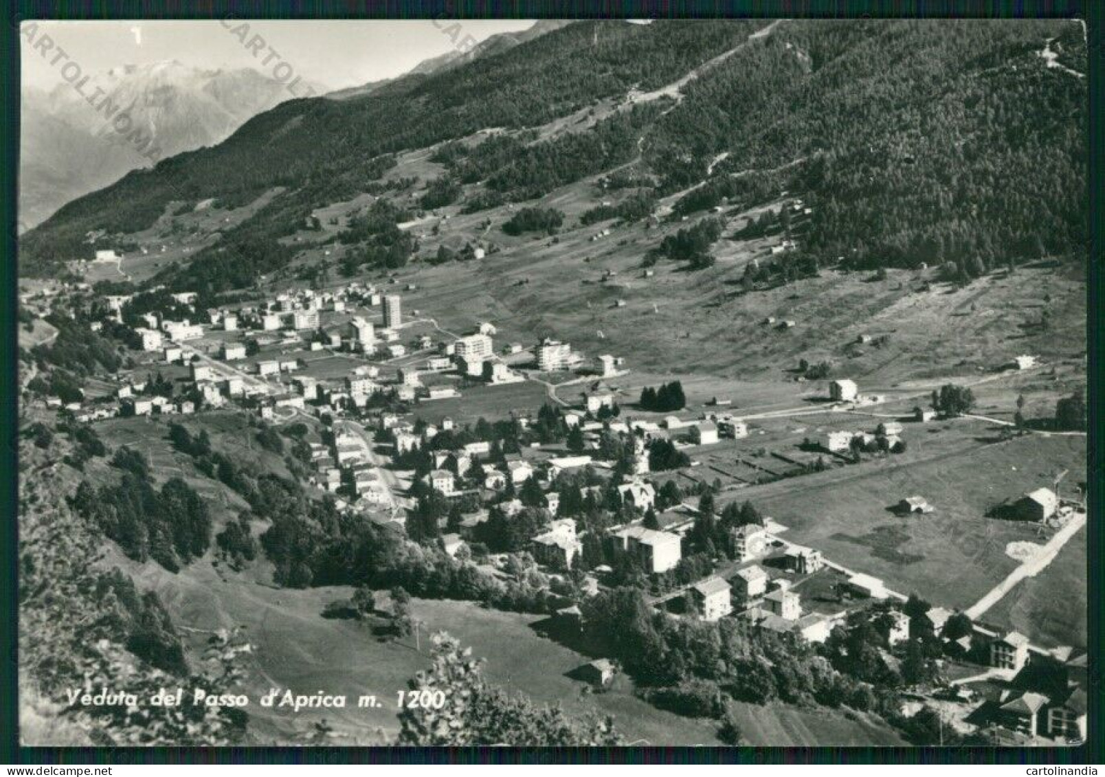 Sondrio Aprica Passo Di Foto FG Cartolina KV9226 - Sondrio