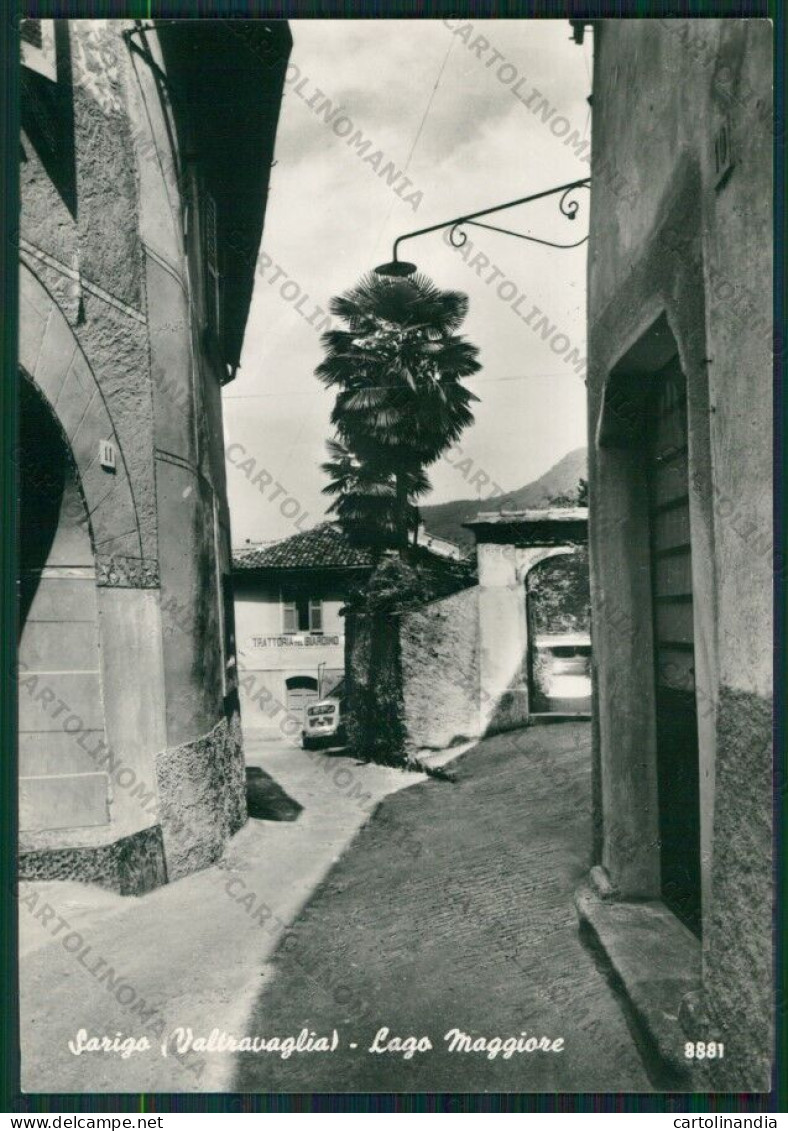 Varese Castelveccana Sarigo Auto Foto FG Cartolina KV9284 - Varese