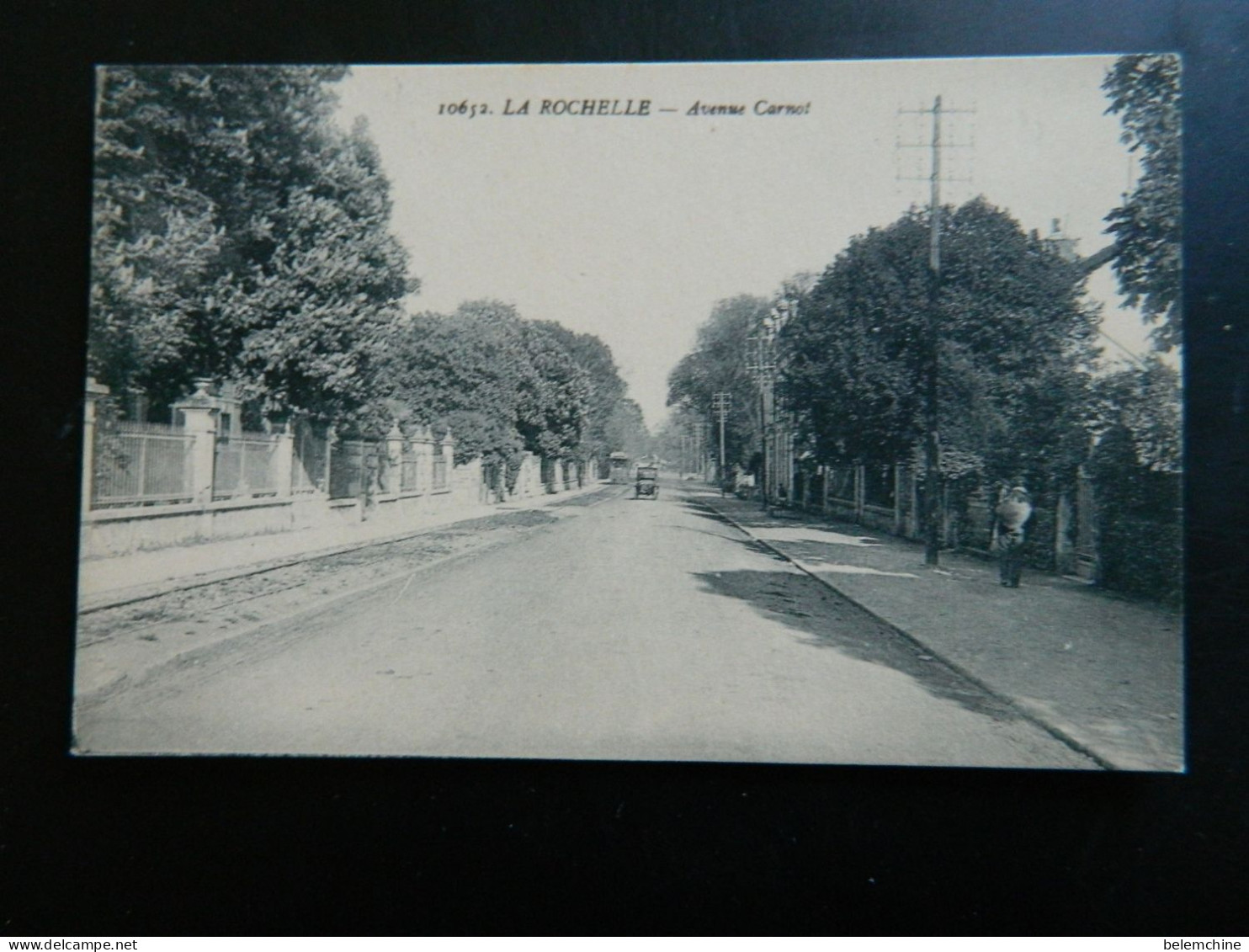 LA ROCHELLE                           AVENUE CARNOT - La Rochelle