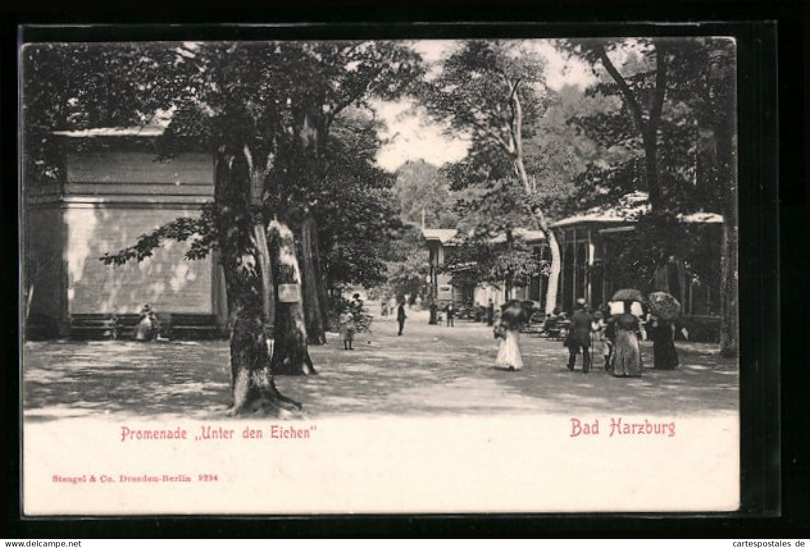 AK Bad Harzburg, Promenade Unter Den Eichen  - Bad Harzburg