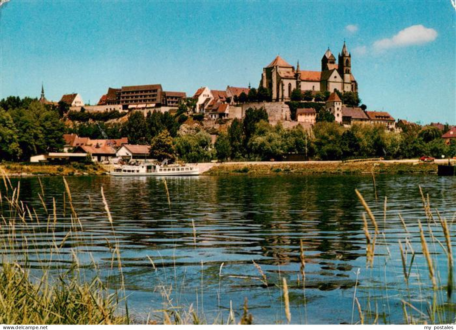 73930045 Breisach_Rhein Uferpartie Am Rhein Blick Zum St. Stephansmuenster - Breisach