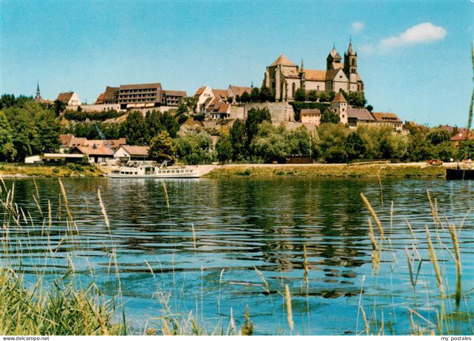 73930040 Breisach_Rhein Uferpartie Am Rhein Blick Zum St. Stephansmuenster - Breisach