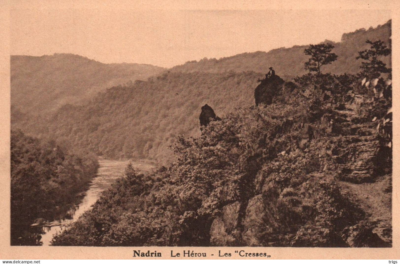 Nadrin (le Hérou) - Les "Cresses" - Houffalize