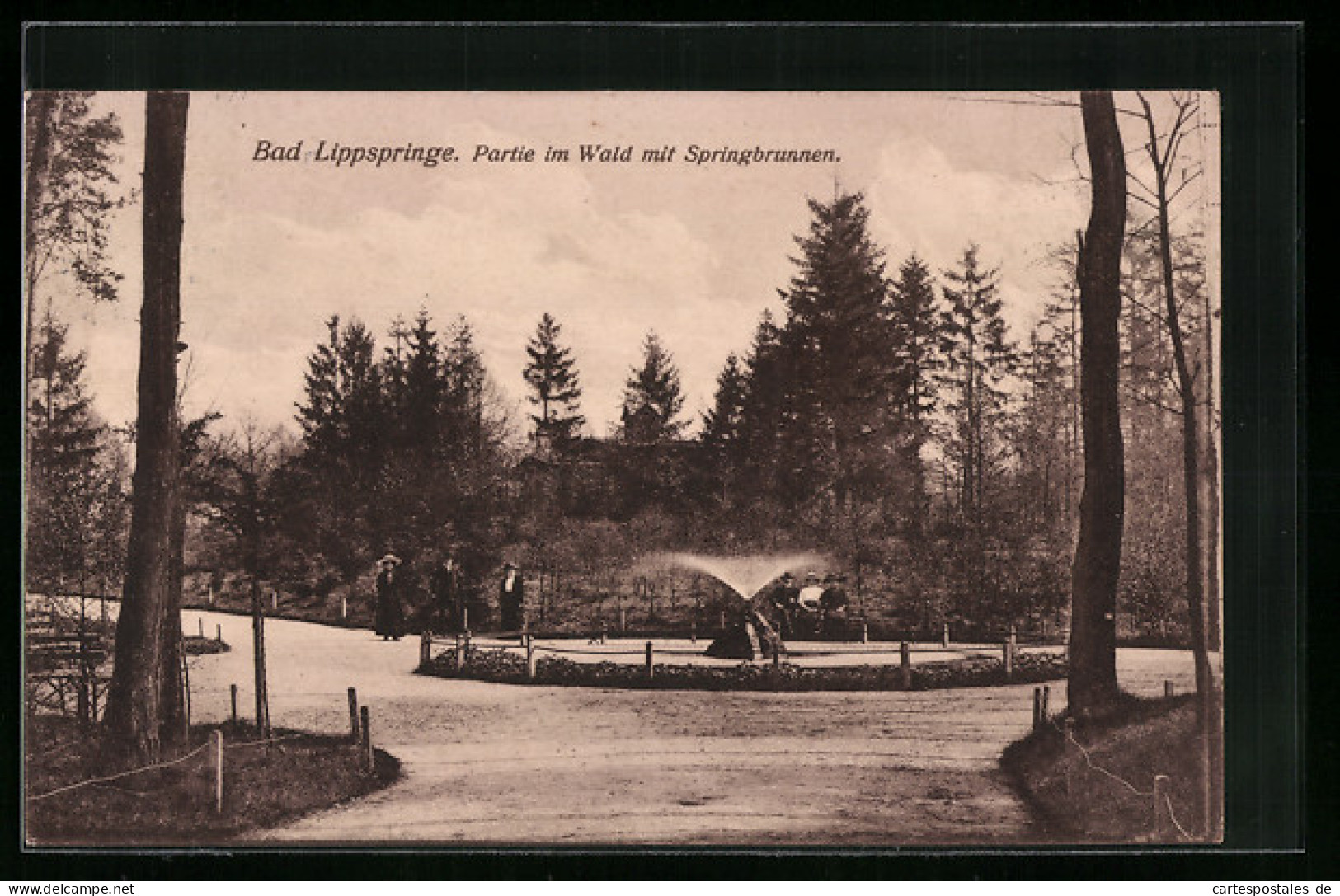 AK Bad Lippspringe, Partie Im Wald Mit Springbrunnen  - Bad Lippspringe