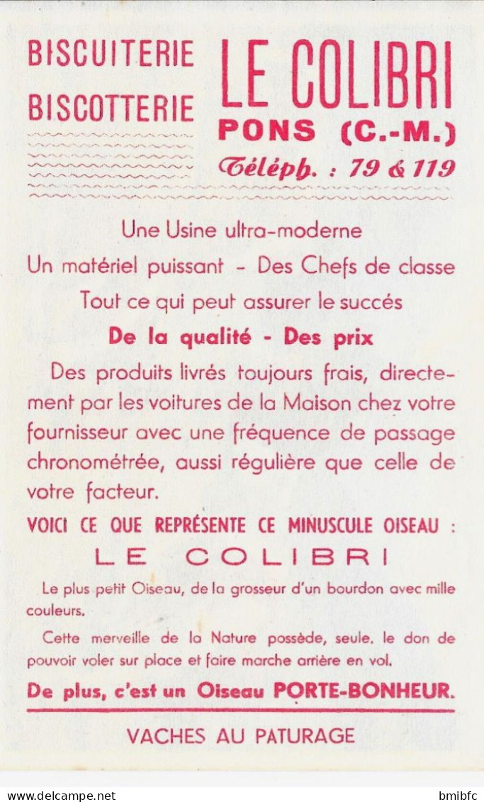 BISCUITERIE-BISCOTTERIE - LE COLIBRI   - PONS (C.M) Téléph: 79&119 - VACHES AU PATURAGE - Autres & Non Classés