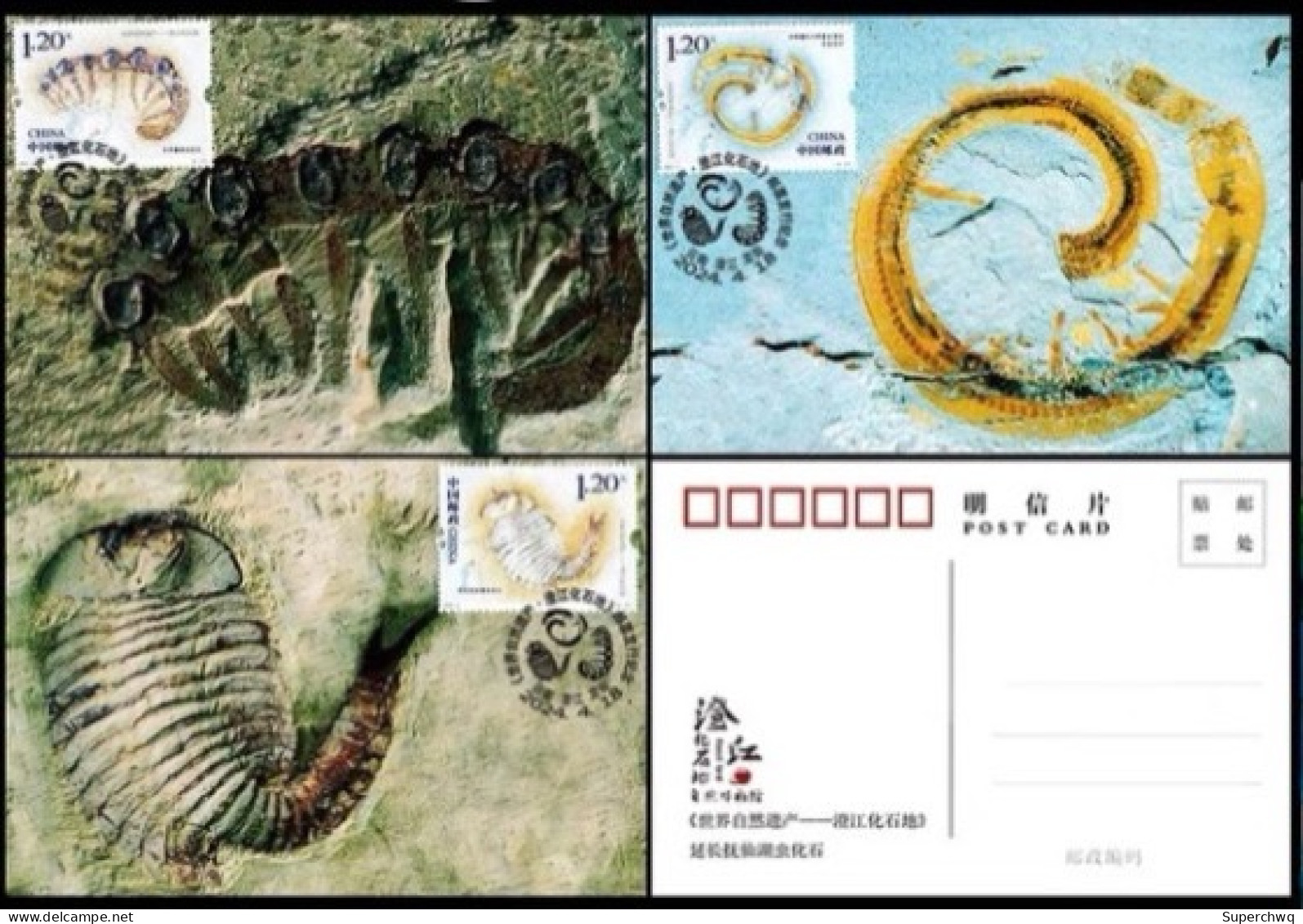 China Maximum Card 2024-4 World Natural Heritage Site - Chengjiang Fossil Site - Maximum Cards