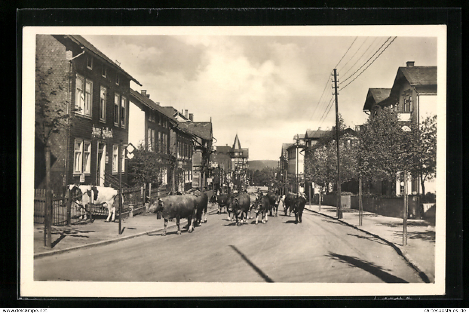 AK Oberhof I. Thür., Damenkapelle In Der Zellaer Strasse  - Oberhof