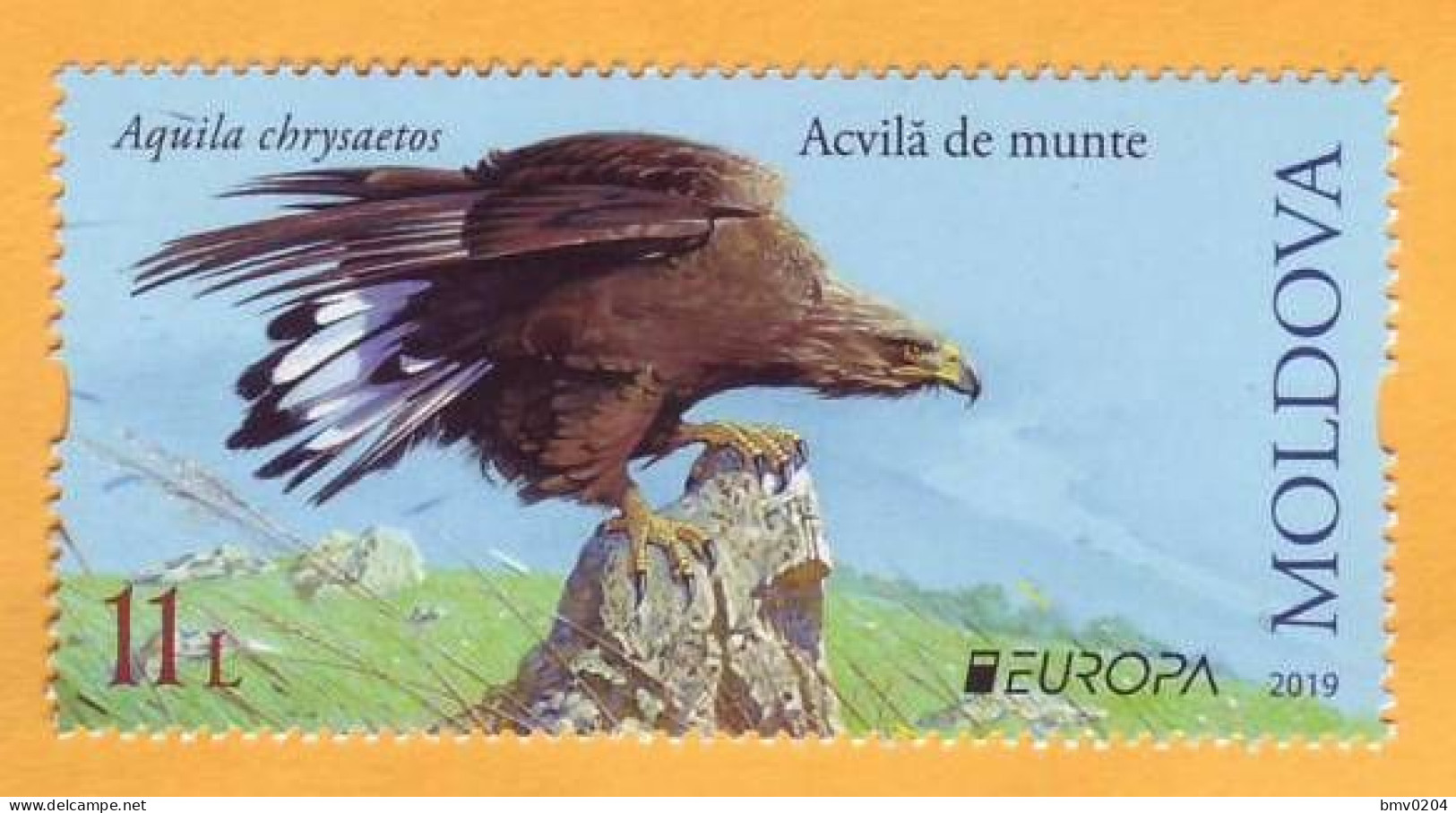 2019 Moldova Moldavie Europa-cept  Fauna, Birds, Eagle 1v Mint - 2019