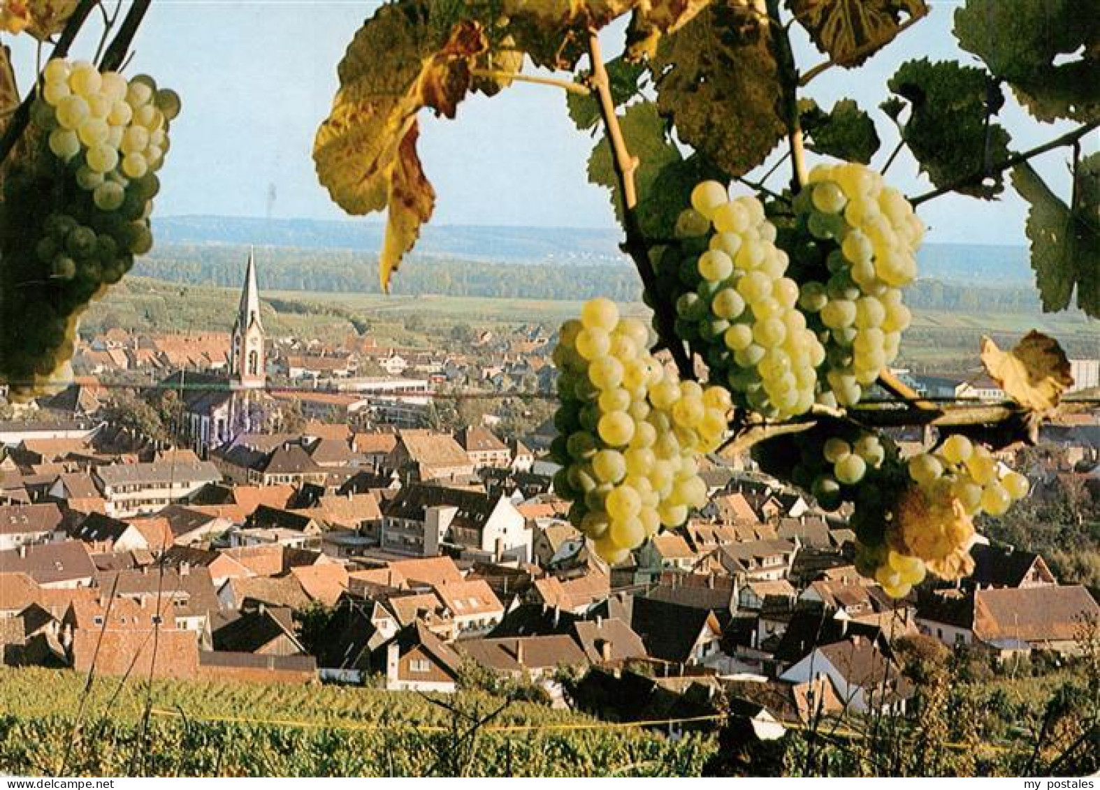 73929522 Ihringen_Kaiserstuhl Panorama Kirche - Ihringen