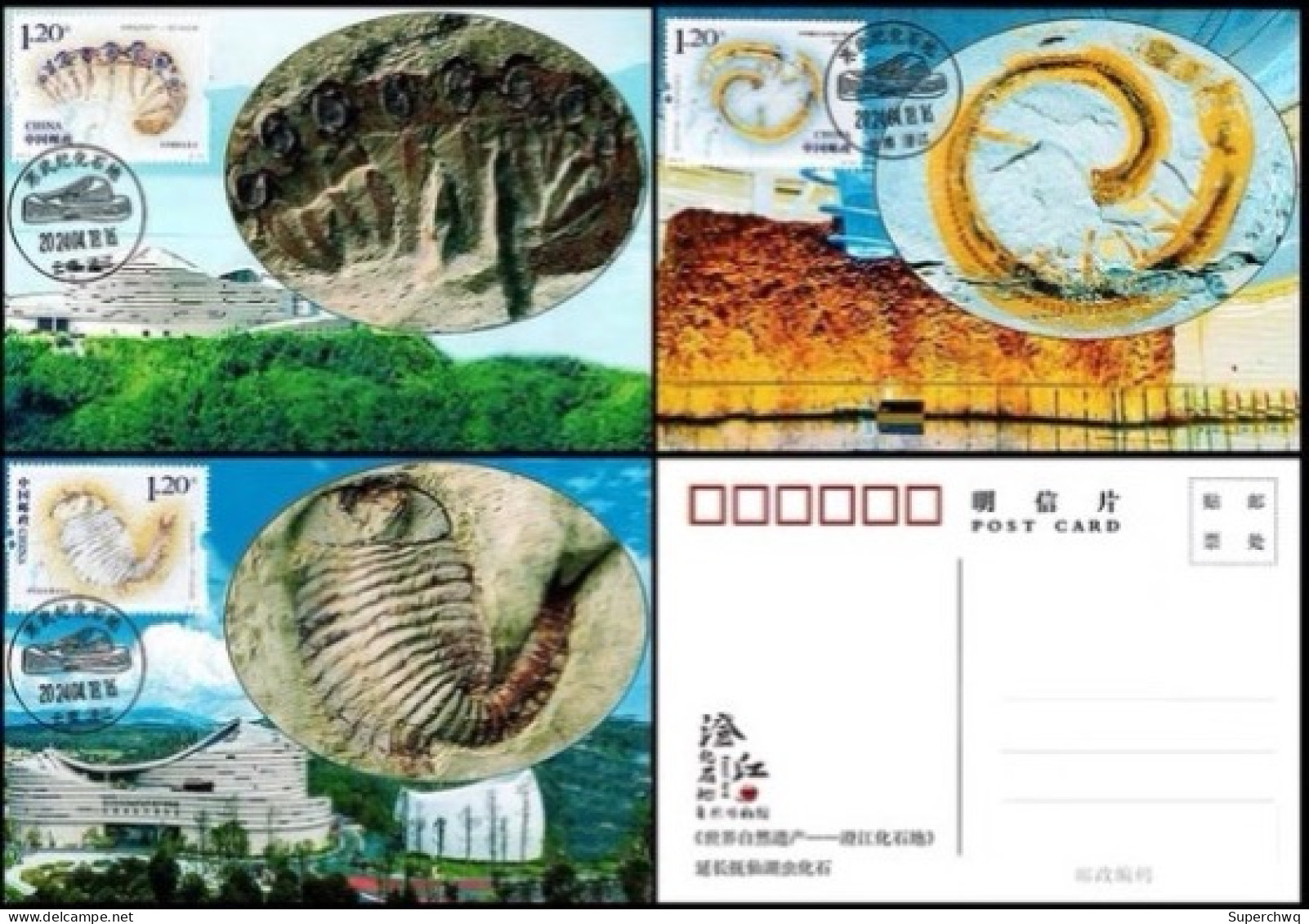 China Maximum Card 2024-4 World Natural Heritage Site - Chengjiang Fossil Site - Maximumkaarten