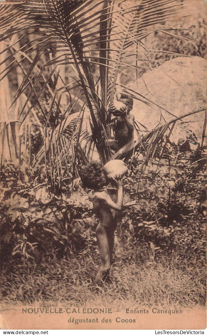 NOUVELLE CALEDONIE -  Enfants Canaques Dégustant Des Cocos - Cocotier - Animé - Carte Postale Ancienne - Nouvelle Calédonie