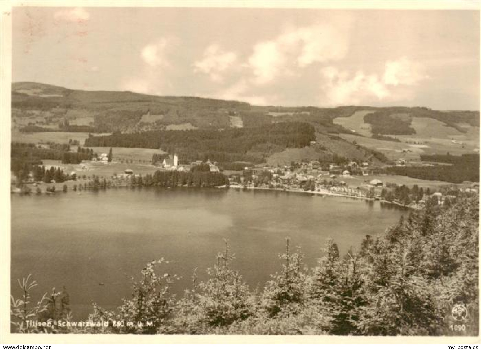 73929442 Titisee-Neustadt Seepanorama - Titisee-Neustadt