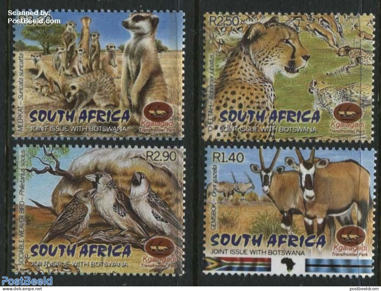 South Africa 2001 Kgalagadi Park 4v, Mint NH, Nature - Various - Animals (others & Mixed) - Birds - Cat Family - Joint.. - Ungebraucht
