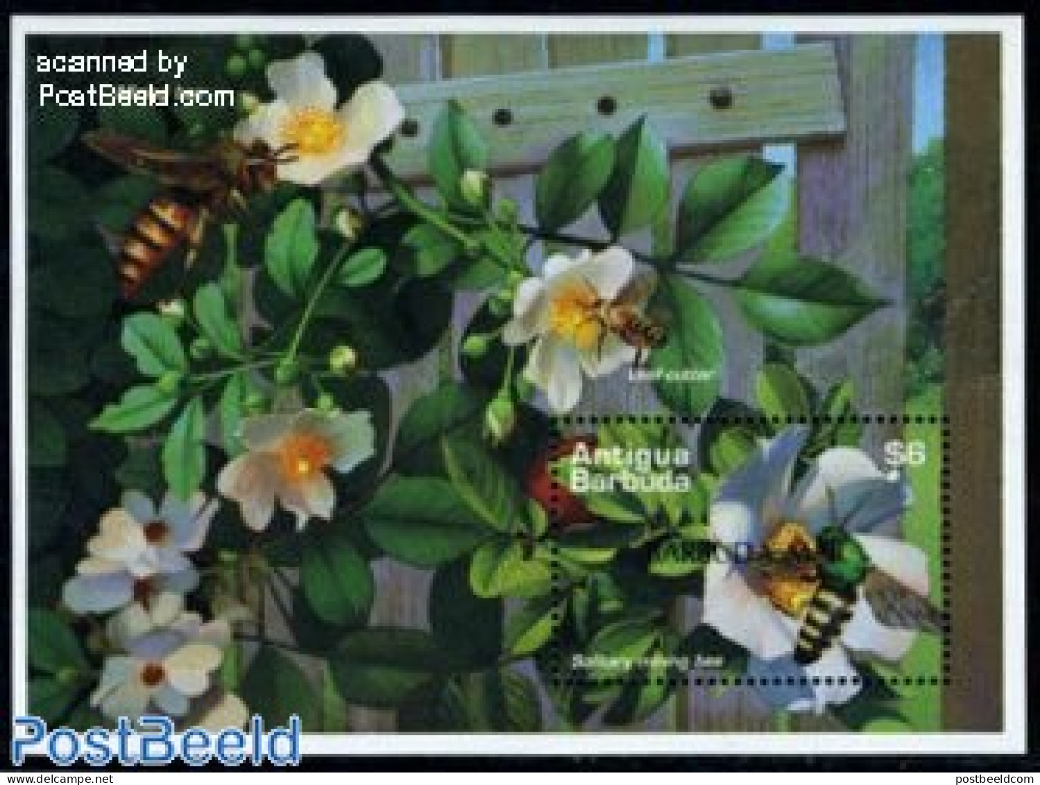 Barbuda 1997 Bees S/s, Mint NH, Nature - Bees - Insects - Barbuda (...-1981)