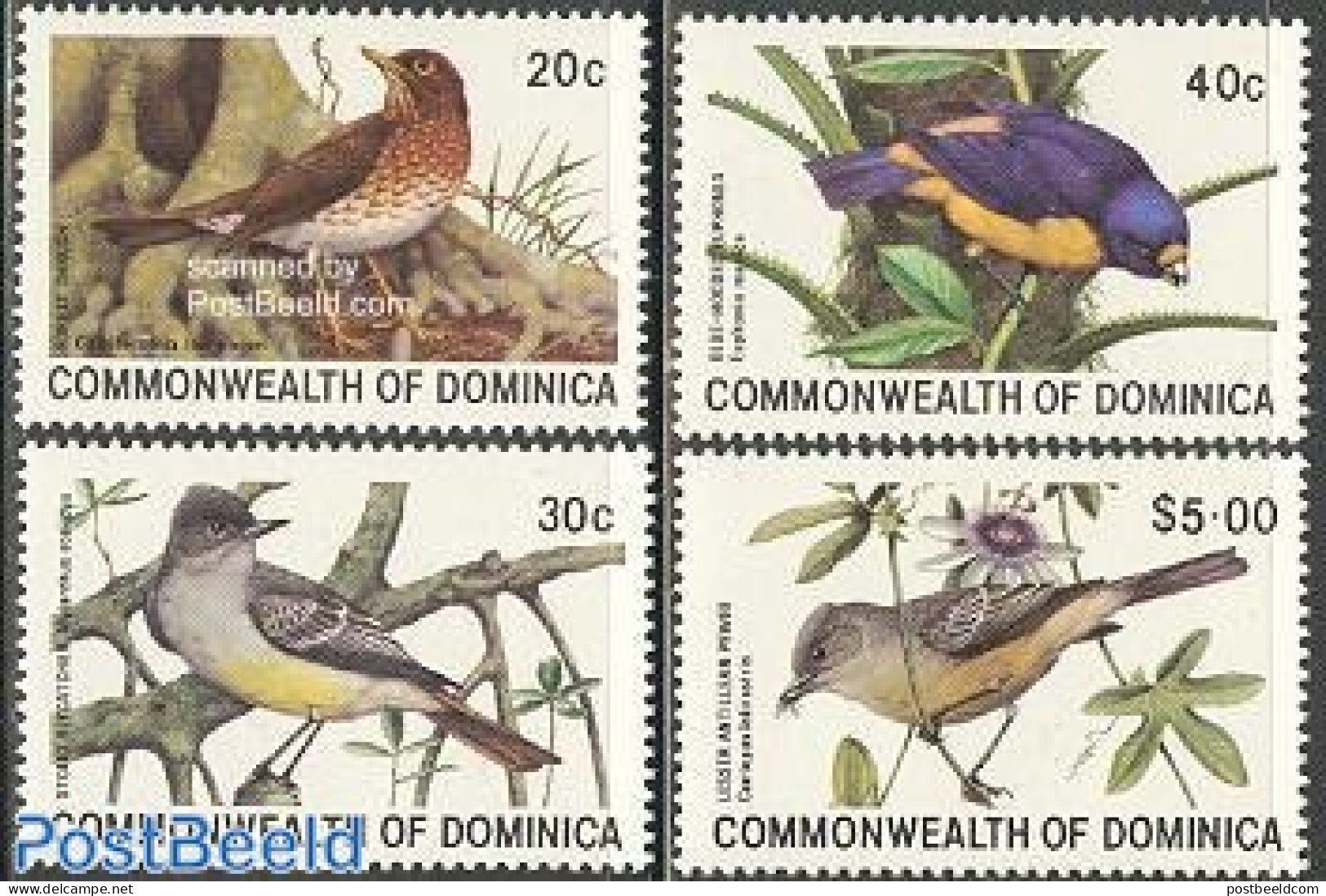 Dominica 1981 Birds 4v, Mint NH, Nature - Birds - Dominican Republic