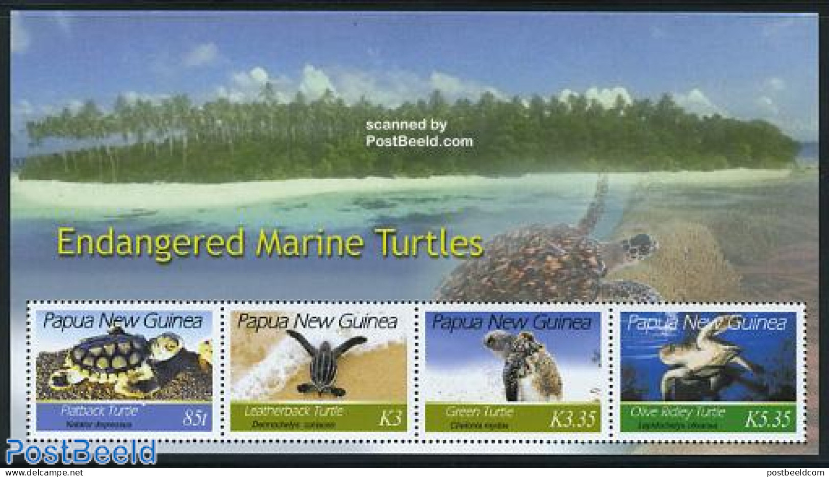 Papua New Guinea 2007 Turtles 4v M/s, Mint NH, Nature - Reptiles - Turtles - Papua New Guinea