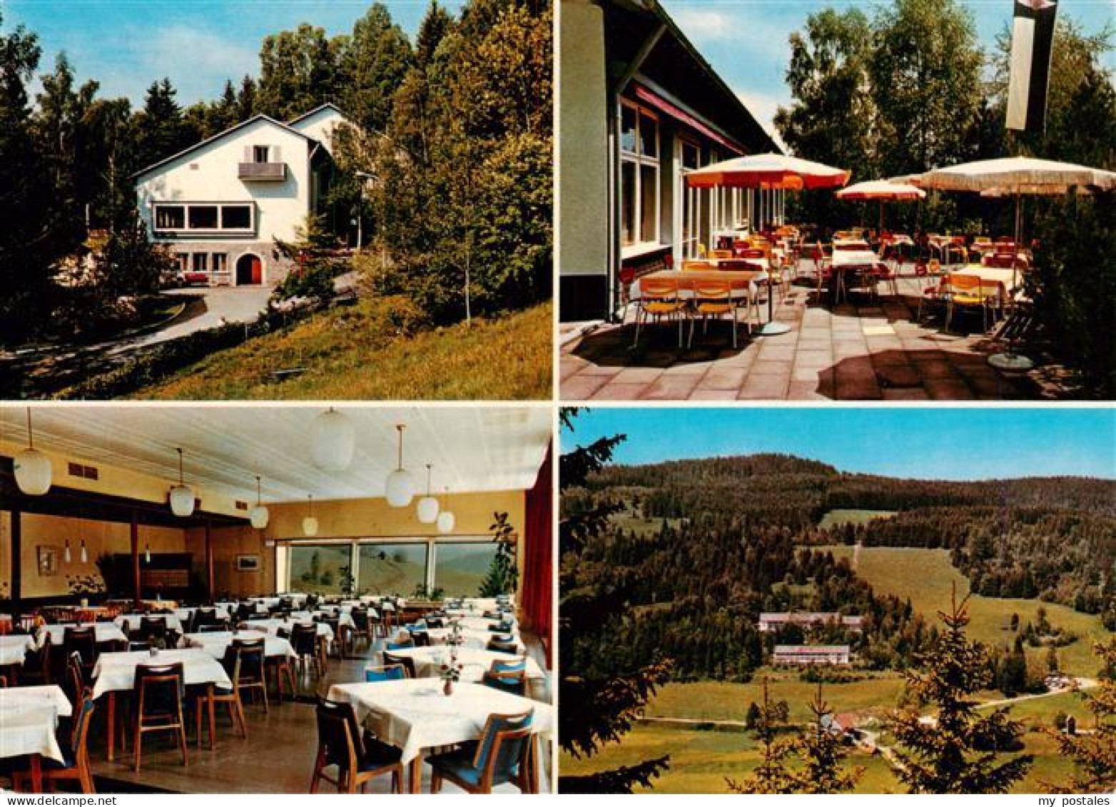 73929180 Hinterzarten Feuerwehrheim St Florian Terrasse Gastraum Panorama - Hinterzarten