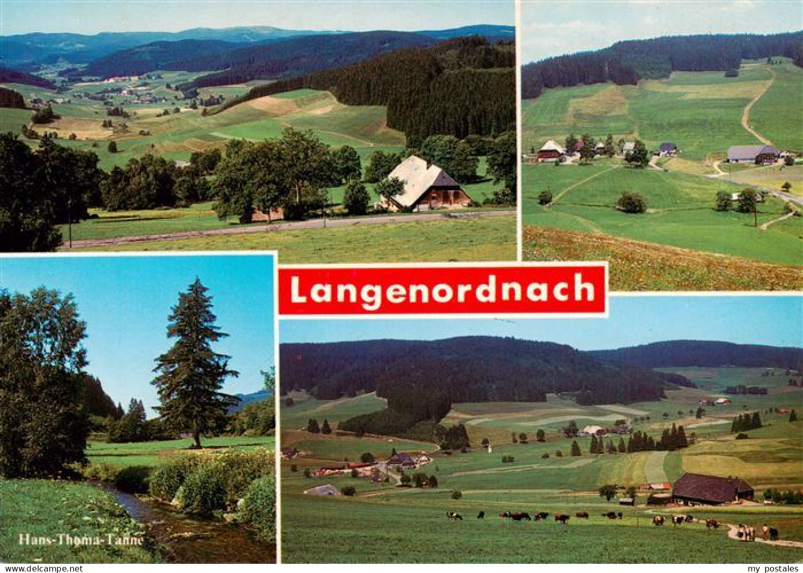 73929177 Langenordnach_Titisee-Neustadt Schwarzwaldgasthof Zum Loewen Unteres Wi - Titisee-Neustadt