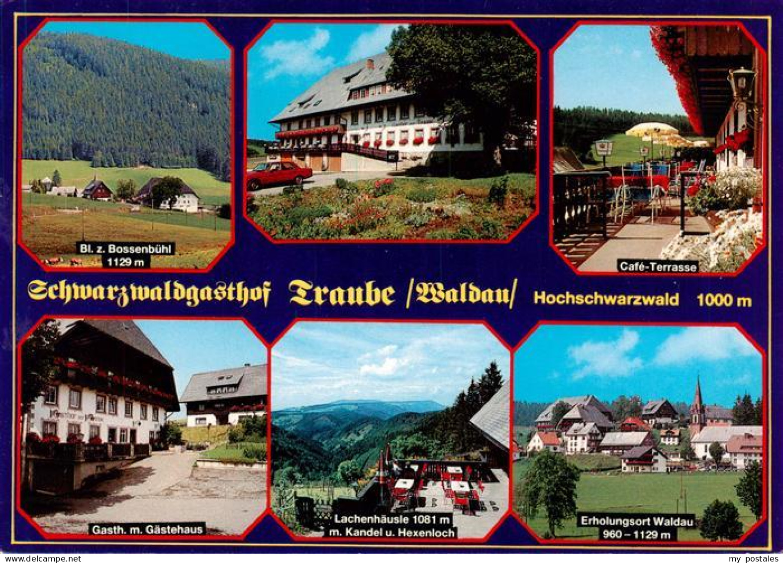 73929176 Waldau_Schwarzwald_Titisee-Neustadt Schwarzwaldgasthof Traube Bossenbue - Titisee-Neustadt